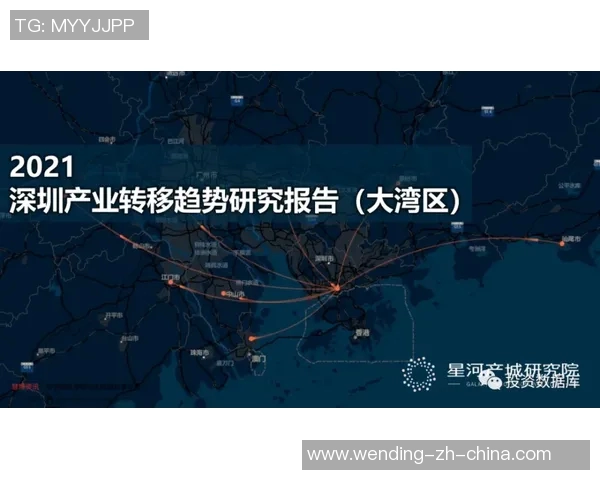 问鼎国际-走向顶尖—问鼎国际的战略研究-问鼎国际